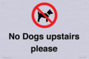 no-dogs-upstairs-please-~